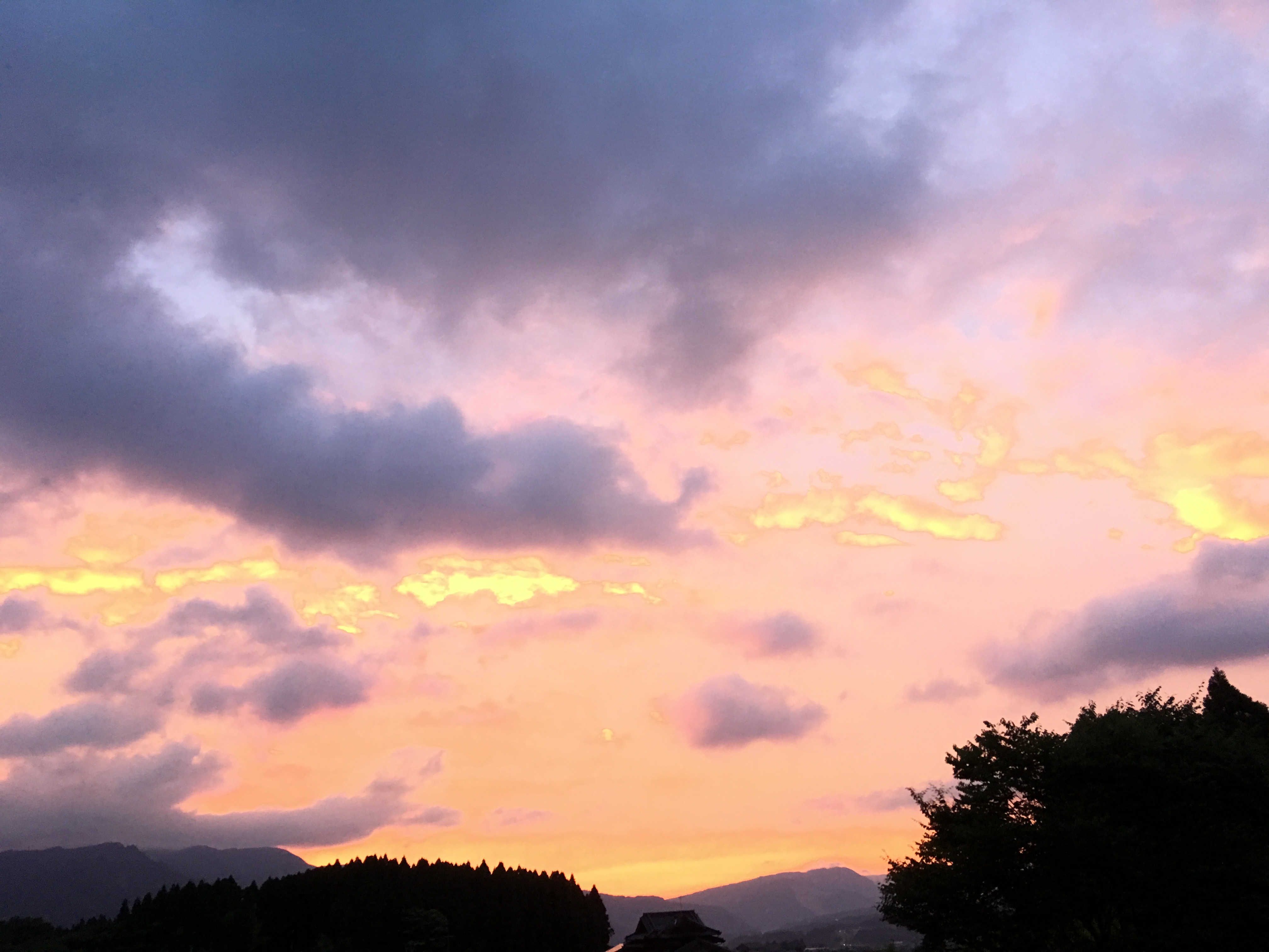 20268AD7 9852 4416 8C29 F7A2DC75F7BB