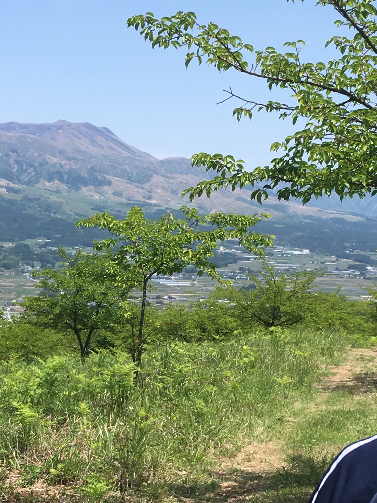 5EFAA3F7 4B79 4849 93AA 3E693449B6BA