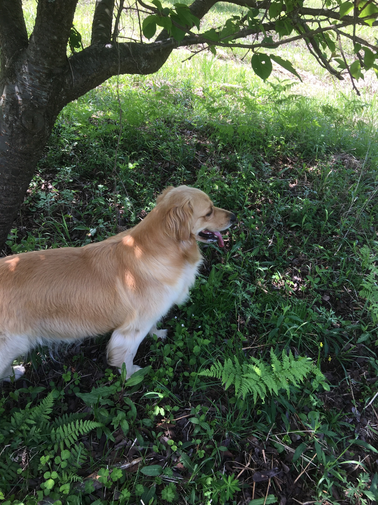 B5B517EB 734C 48A7 A268 C6AF6EAAADBE